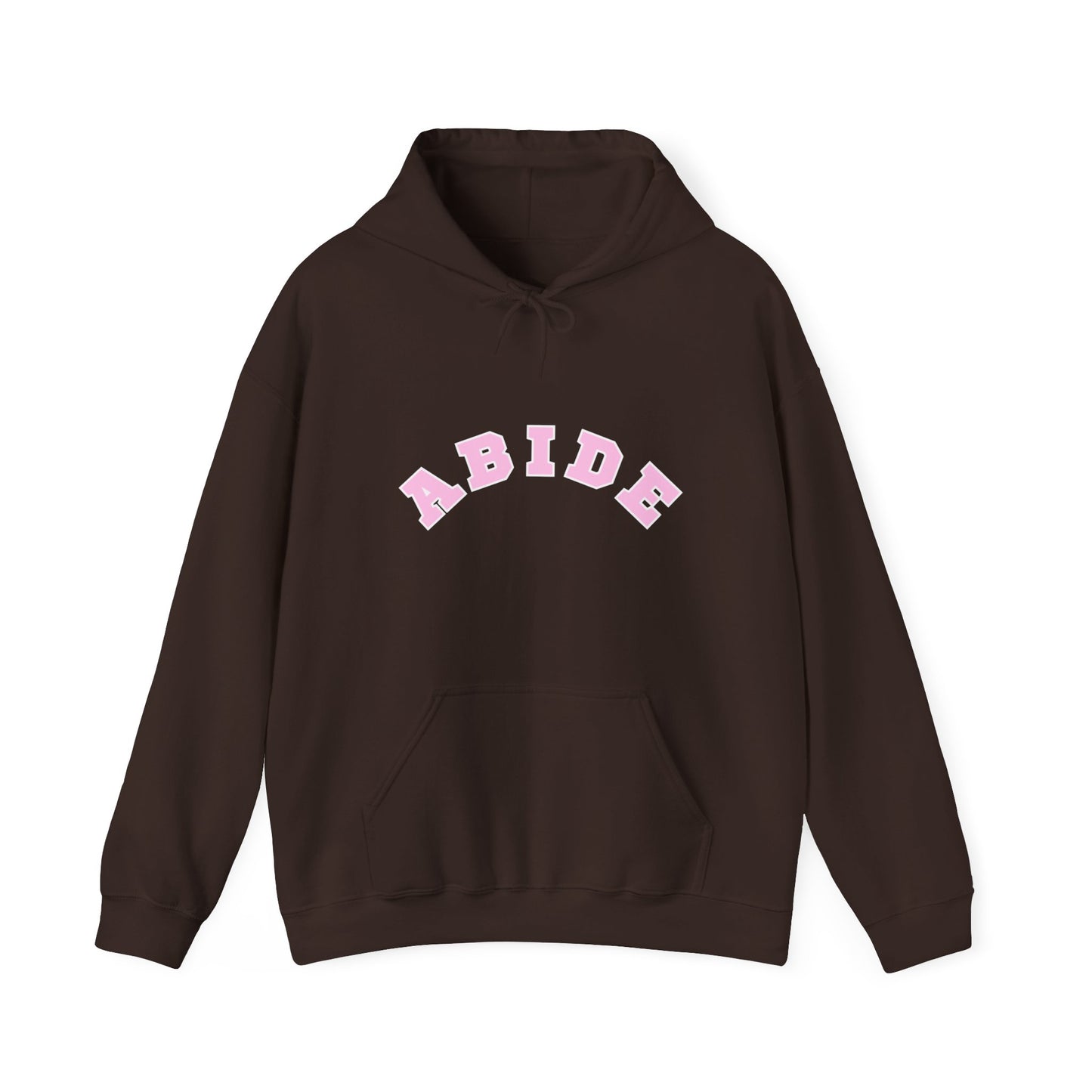 Vintage “Abide” Hoodie