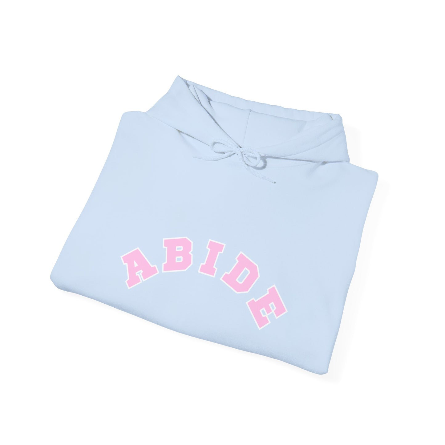 Vintage “Abide” Hoodie