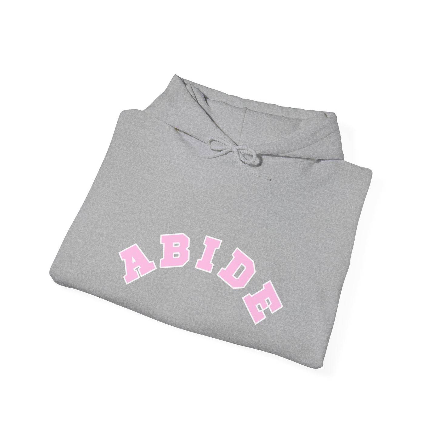 Vintage “Abide” Hoodie