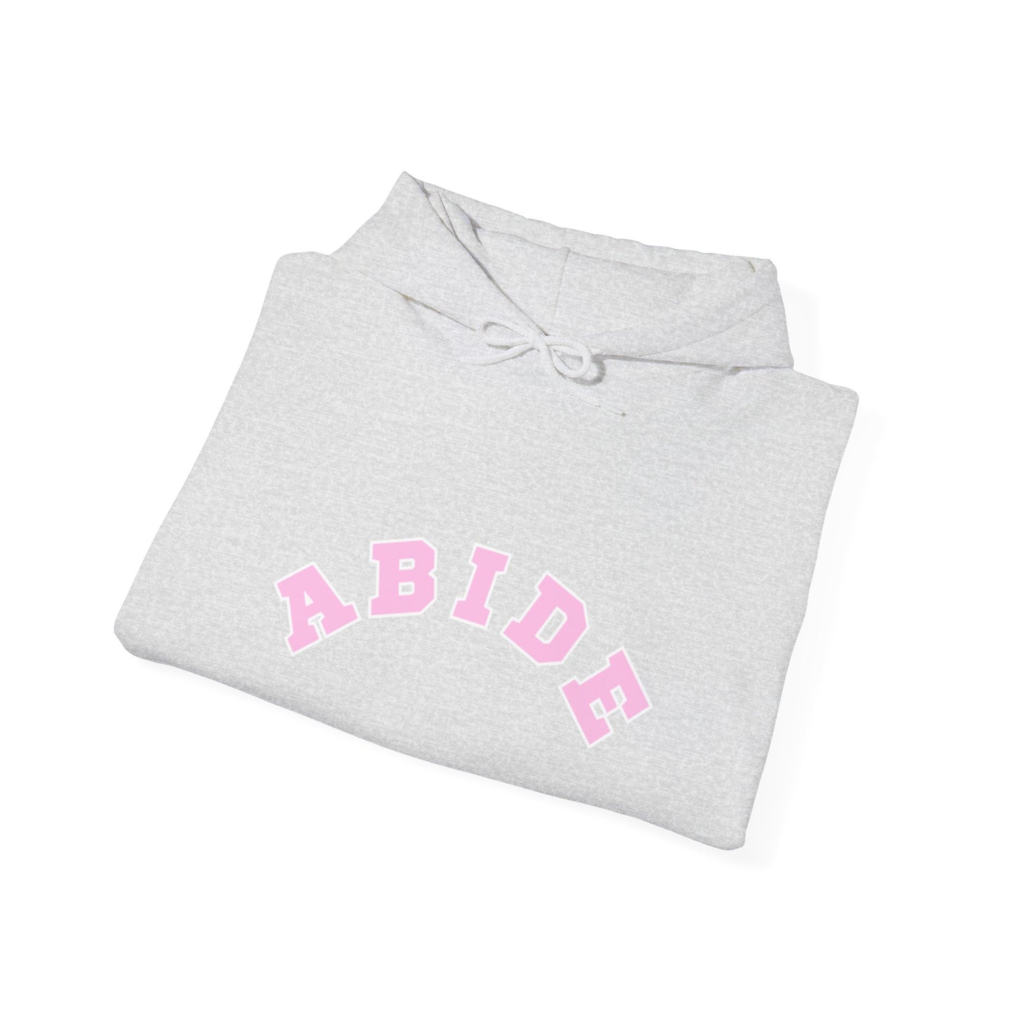 Vintage “Abide” Hoodie